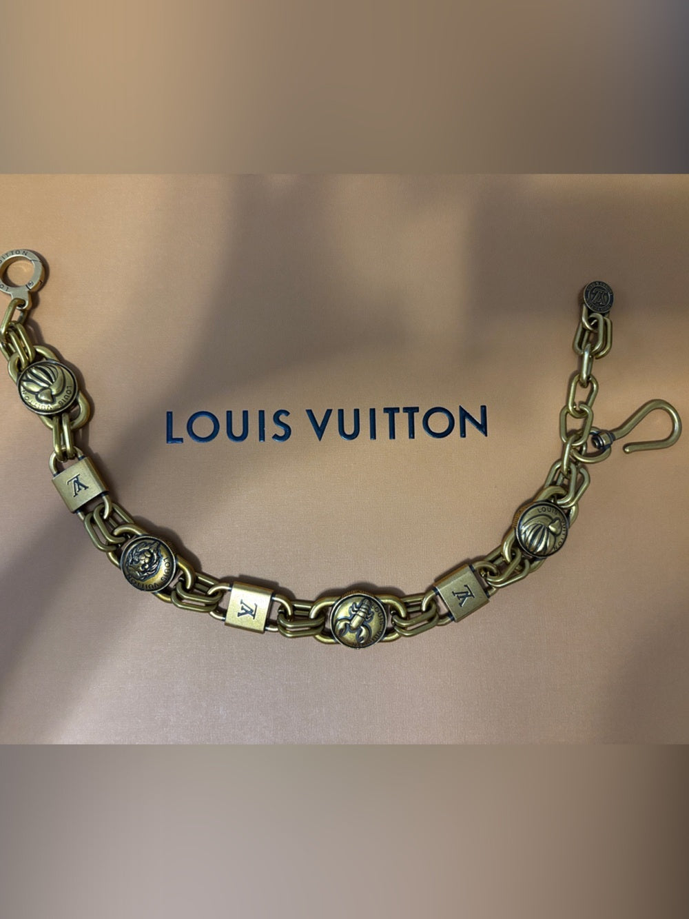 LV Gold-Tone Medallion Chain