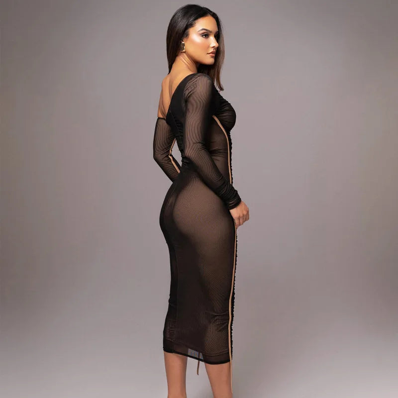 Minnie’s Illusion Mesh Midi Dress