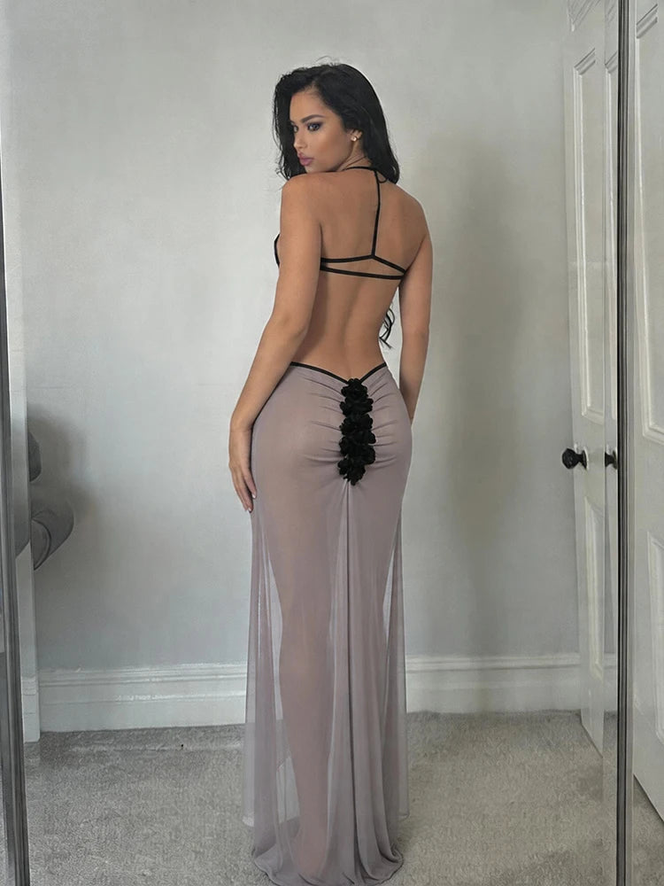 Moonlit Muse Sheer Maxi Dress