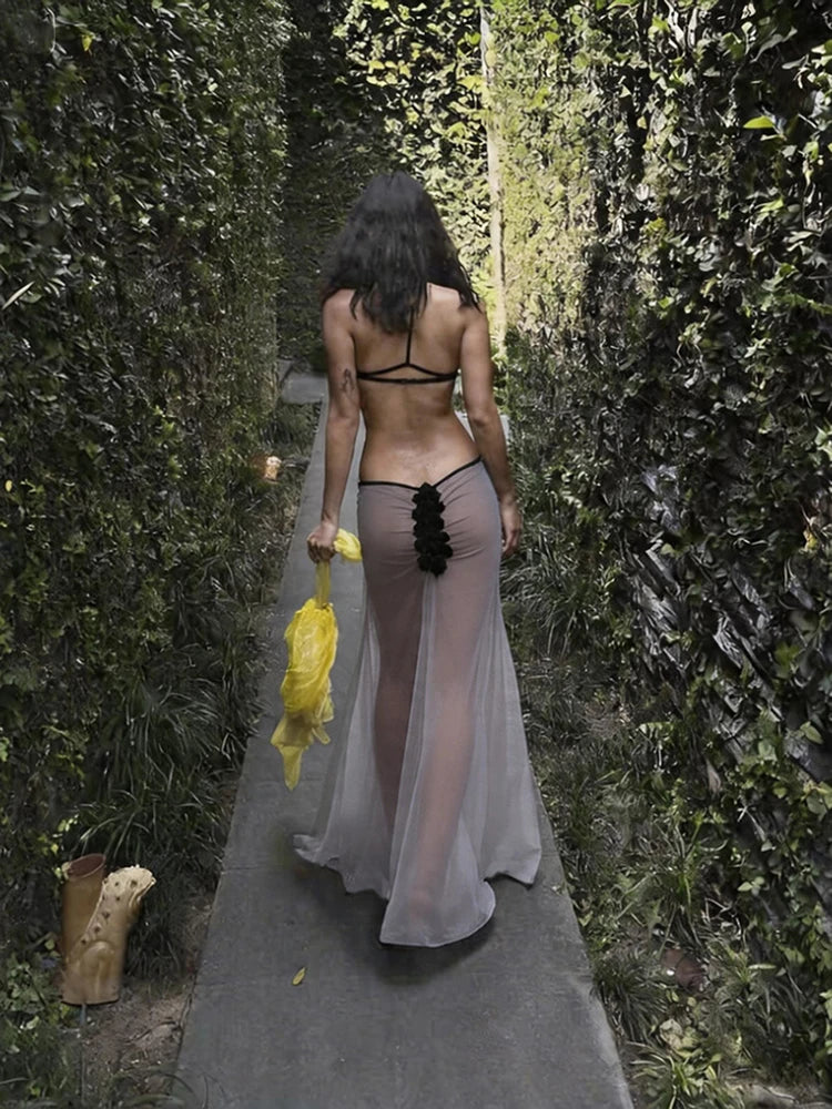 Moonlit Muse Sheer Maxi Dress